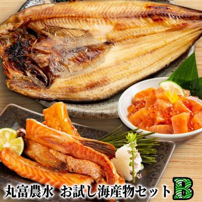 ふるさと納税 紋別市 丸富農水お試し海産物セットB★