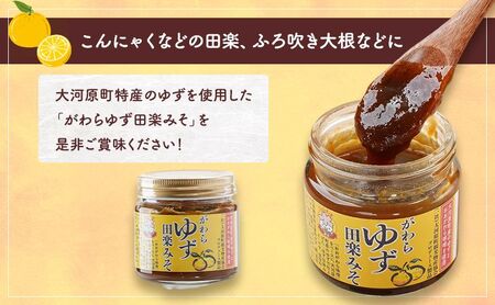 大河原町観光物産協会　特産品Fセット 梅シロップ ゆず 唐辛子 ぽん酢 しょうゆ 田楽みそ 加工食品 調味料 ポン酢 醤油 とうがらし 田楽 みそ 味噌 薬味 味付け 田楽味噌