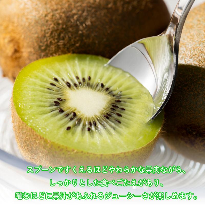 訳あり キウイフルーツ 9~12玉 1kg きうい キウイ フルーツ 果物 くだもの お取り寄せ 人気 おすすめ 徳島県 送料無料 徳島青果
