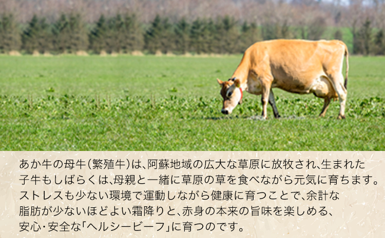 肥後のあか牛 焼き肉用 500g 《90日以内に出荷予定(土日祝除く)》 長洲501 熊本 特産 あか牛