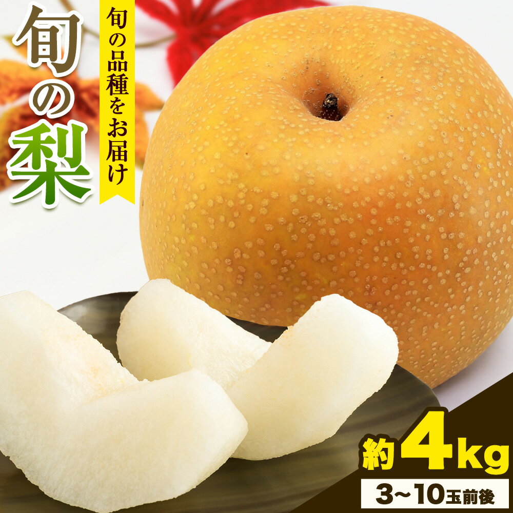 【ふるさと納税】 【先行予約】秀品 岡山県産 旬の 梨 約2.5kg 2~6玉前後 約4kg 3～10玉前後 梨 秀品 新高 愛宕 スイーツ フルーツ デザート 旬 岡山県 笠岡市《9月上旬-1月末頃に出荷予定》