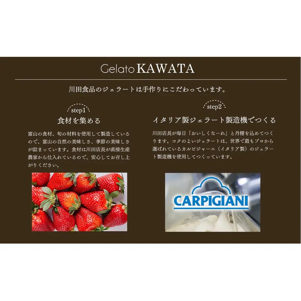 【訳あり】 ジェラート 4L ココナッツ