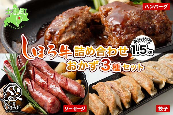 
            北海道 しほろ牛 ハンバーグ ソーセージ 餃子 3種セット 牛 赤身肉 国産牛 肉 ビーフ ギョウザ ぎょうざ フランクフルト ギョーザ 国産 加工品 おかず 惣菜 お惣菜 おつまみ 冷凍 詰合せ お取り寄せ 送料無料 十勝 士幌町【N26】
          