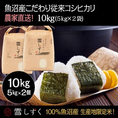 ふるさと納税 十日町市 令和7年産!魚沼産こだわり従来コシヒカリ【農家直送!】精米5kg×2袋