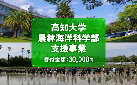 【返礼品なし/30,000円】高知大学 農林海洋科学部 支援事業(教育・研究・地域貢献を支える寄附)  高知県 南国市