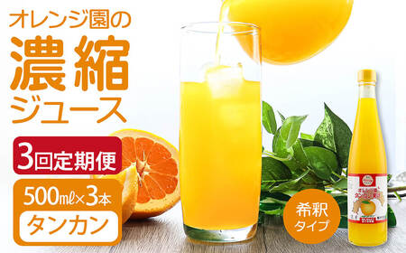 オレンジ園の濃縮ジュース タンカン 500ml 3本 3回定期便 希釈用【J00107】