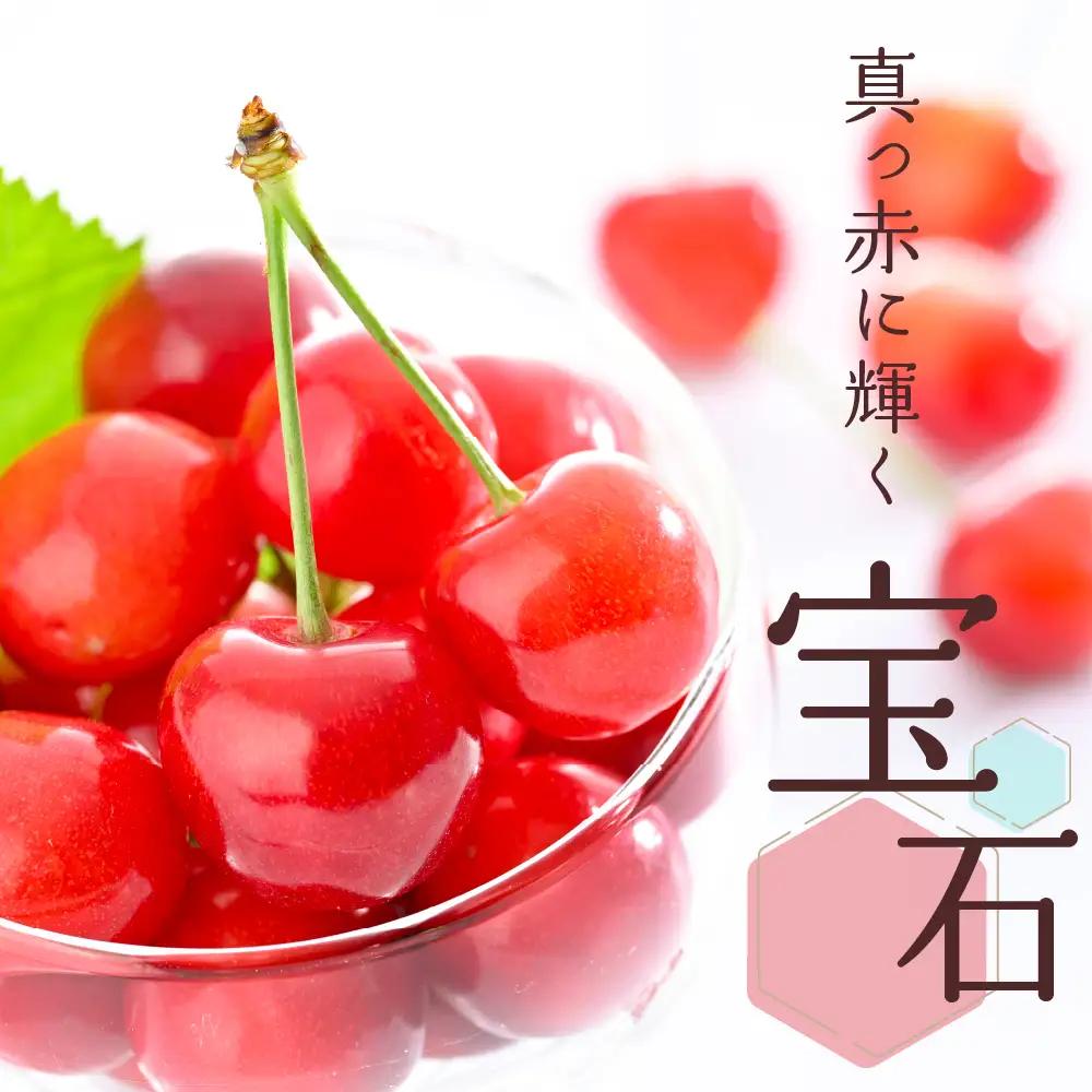 さくらんぼ 紅秀峰 1kg バラ詰め L以上 令和8年産 さくらんぼ