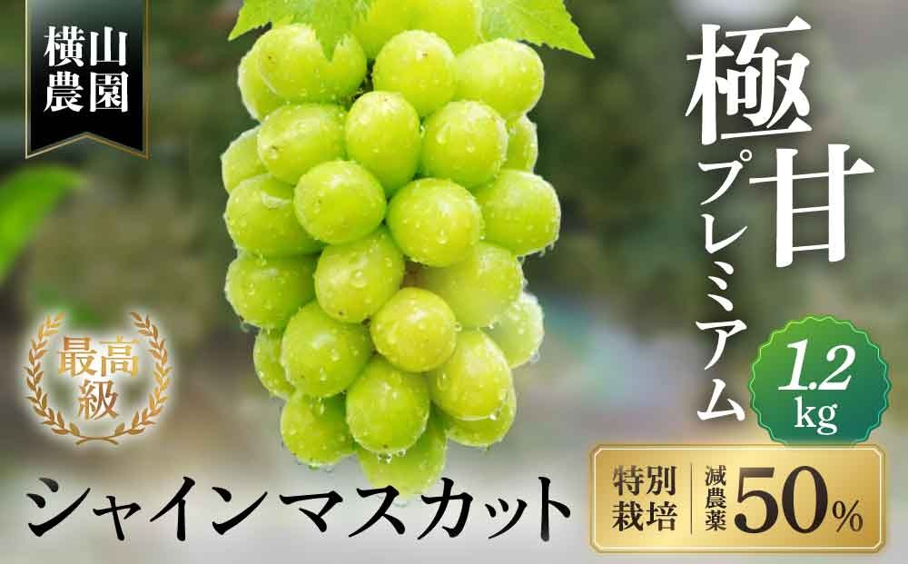 【2026年/令和8年発送＜先行予約＞】特別栽培 減農薬 シャインマスカット 2房 1.2㎏ 先行予約 先行 予約 山梨県産 産地直送 フルーツ 果物 くだもの ぶどう ブドウ 葡萄 シャイン シャインマスカット 新鮮 人気 おすすめ 国産 贈答 ギフト お取り寄せ 甘い 皮ごと 山梨 甲斐市 CF-2