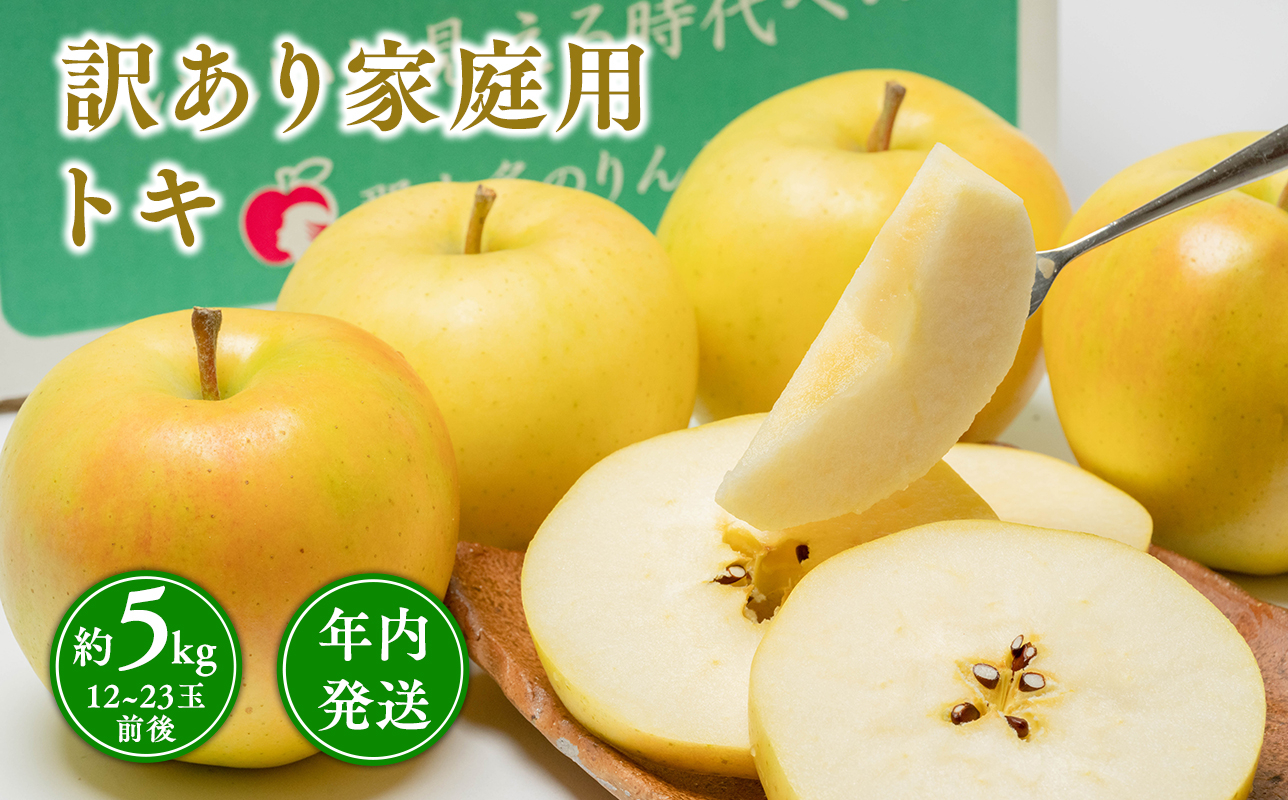 
            年内発送 【訳あり】家庭用 トキ 約5kg【青森県 平川市 那由多のりんご園】家庭用 青森 青森県産 平川 りんご リンゴ 林檎 くだもの 果物 フルーツ 
          