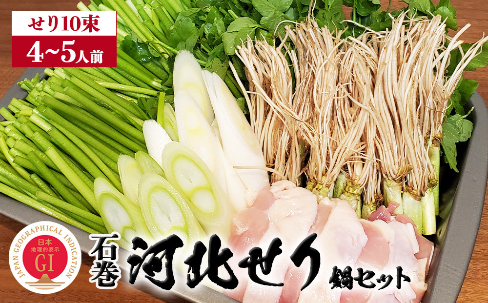 
【発送日限定】せり鍋 セット 4-5人前 せり 長ねぎ パックご飯 スープ 鶏肉 セリ セリ鍋 河北せり 野菜 鍋
