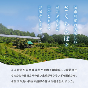 【先行予約2026年7月上旬より発送】余市の砂川果樹園が贈る もぎたて直送さくらんぼ 佐藤錦 1kg箱_Y033-0038