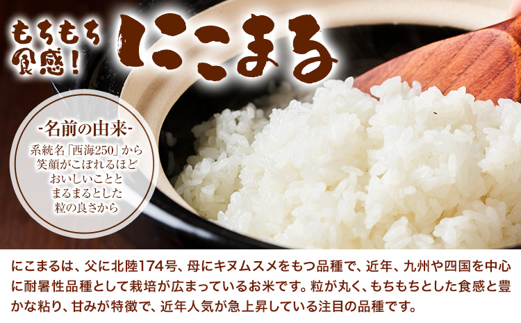 令和7年産 つるたファームの米 自然にこまる 自然栽培米 にこまる 5kg 株式会社七城の恵み《30日以内に出荷予定(土日祝除く)》熊本県 菊池市 米 にこまる つるたファーム---126-2521-