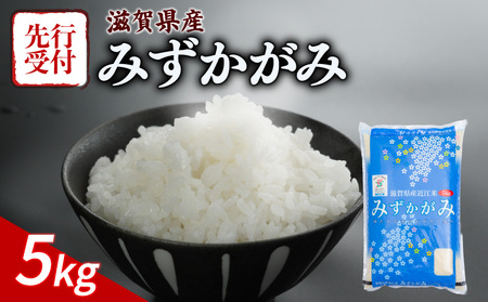 新米 令和7年産先行受付 みずかがみ 5kg 新米 新米 新米 新米 新米