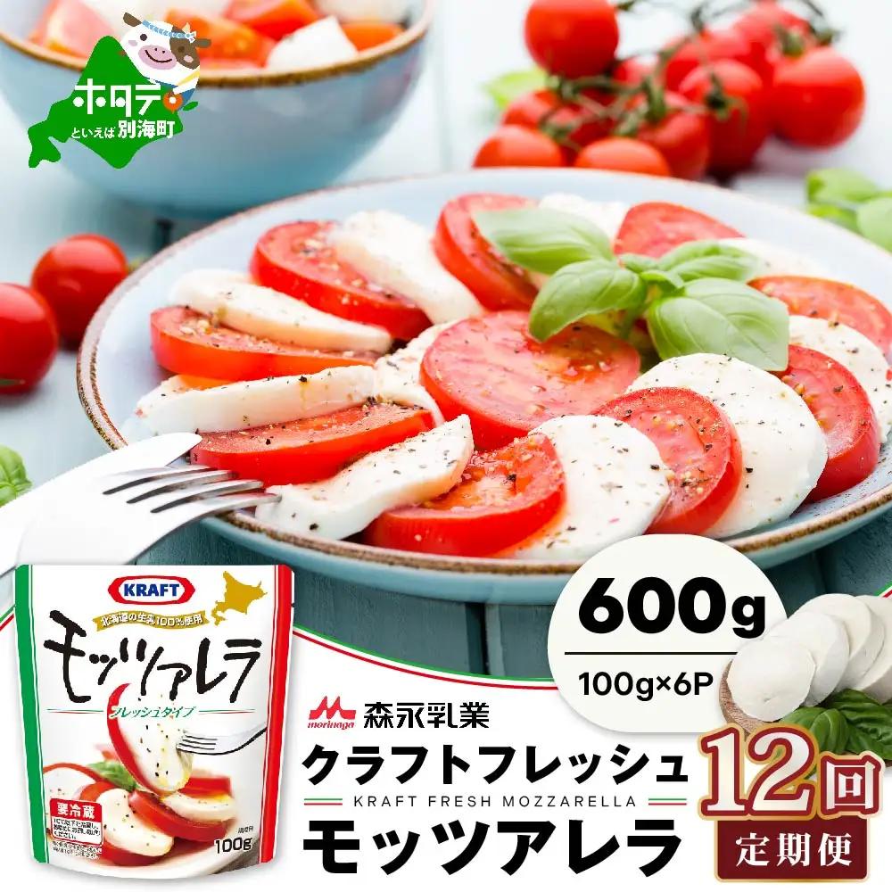 【定期便】森永乳業 モッツァレラチーズ 計600g(100g×6P)×12ヵ月【全12回】チーズ 北海道 別海町