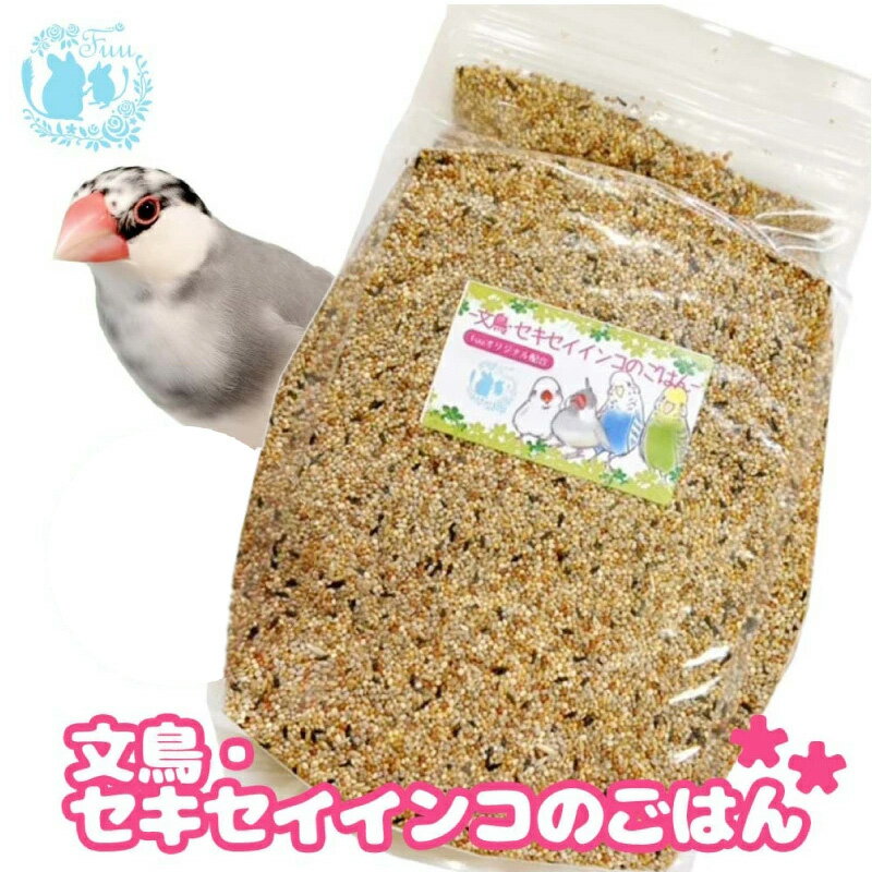 【ふるさと納税】【3ヶ月定期便】fuu 文鳥・セキセイインコのごはん インコ 小鳥 エサ ペット用品 複数種 シード オリジナル配合 10kg 栄養バランス ムキオード麦 玄ヒエ 玄キビ 赤キビ カナリヤシード 食感様々 お取り寄せ 愛知県 小牧市 送料無料