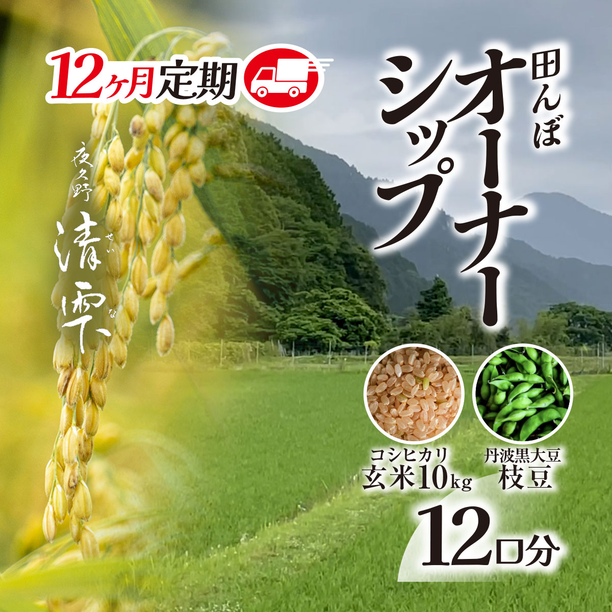 【ふるさと納税】＜令和7年9月末より発送！＞【12ヶ月定期】田んぼオーナーシップ12口分　清雫　玄米10kg+黒ムラサキ（丹波黒大豆の枝豆）/ ふるさと納税 田んぼ オーナー制度 米 玄米 令和7年度産 先行 定期 10kg 12回 収穫 夜久野 京都 京都府 福知山 FCDB008