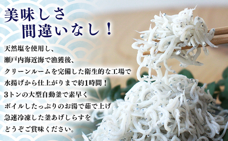 ＜老舗網元 濱田屋の釜あげしらす 計1kg（100g×10袋）＞『1か月以内に順次出荷予定』 減塩 数量限定 化粧箱 簡易包装 選べる 釜揚げ シラス じゃこ 海鮮 海産物 丼 小魚 乾物 小分け カ