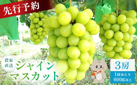 【先行予約】《2026年9月下旬～11月下旬出荷》 宮城県丸森町産 シャインマスカット　3房(1房 600g以上)　【48006】