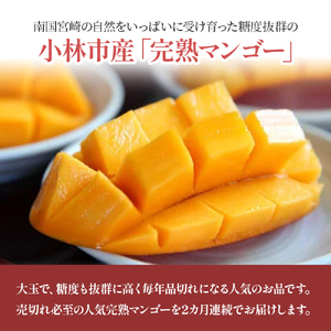 【先行予約！マンゴー定期便・全２回】小林市産「完熟マンゴー」コース(４月、６月）