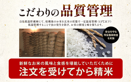 【先行予約】【令和8年産・新米】 定期便 ≪12ヶ月連続お届け≫ 坂井市産 にじのきらめき 白米 5kg×12回 計60kg (田中農園) 【2026年10月以降順次発送予定】 【米 こめ お米 精米