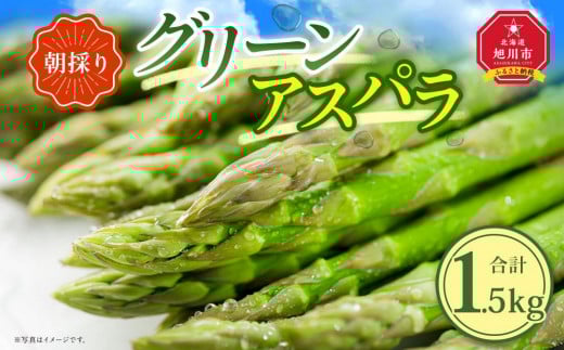 【先行予約】朝採り グリーンアスパラ M～2L 1.5kg (2025年5月下旬発送予定) 【 アスパラ アスパラガス 朝採り とれたて 野菜 旬 小分け 保存 産直 産地直送 お取り寄せ 旭川市 北海道 】_01705