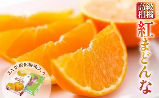 【先行予約】【12月中旬頃~1月頃の発送】 紅まどんな ＜JA正規化粧箱入り＞ 約3kg | みかん 果物  高級 贈答 ギフト 贈り物 愛果28号 常温 国産 愛媛 愛媛県 松山市
