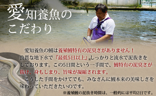三河産超特大 うなぎ蒲焼 2尾(合計約400g～420g) 国産 西尾市 国産うなぎ 蒲焼き 鰻 ウナギ たれ付き 山椒付き 惣菜 愛知養魚 海鮮 丑の日 土用の丑の日 A090-19