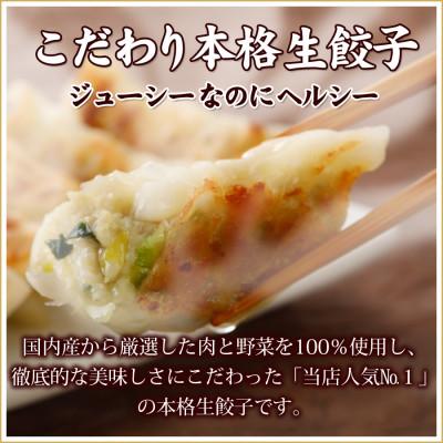 ふるさと納税 塩竈市 本格生餃子3種類詰め合わせ60個(12人前)　 |  | 01