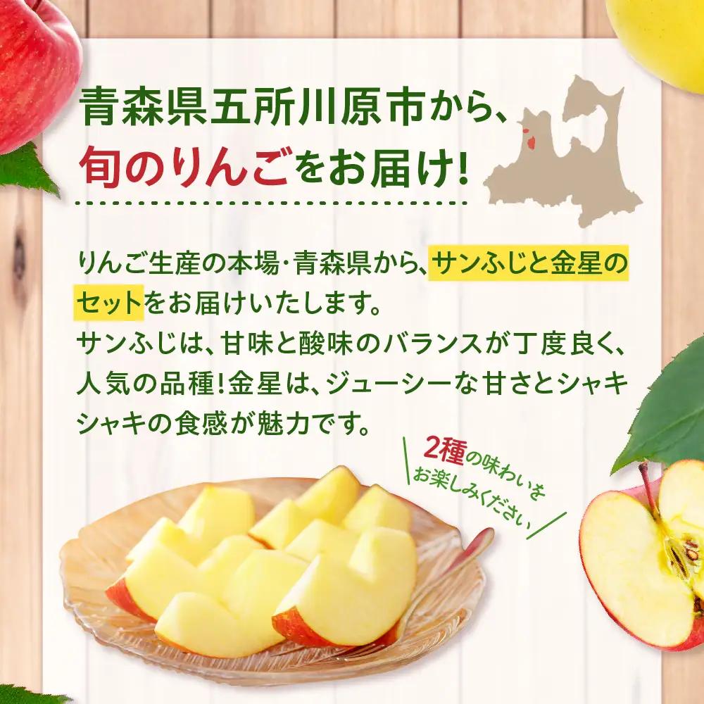 【2027年2月中旬発送】【訳あり】りんご 約5kg サンふじ & 金星セット 青森産
