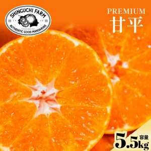 太陽の恵みがギュッと凝縮!【甘平5.5kg】弾ける甘さとシャキッと食感!【G70-144】【1688645】