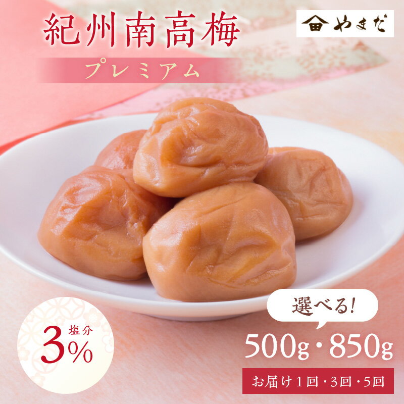 【ふるさと納税】【お中元】《★高評価》紀州南高梅「プレミアム」(塩分3%) 500g 850g 定期便 1回 3回 5回