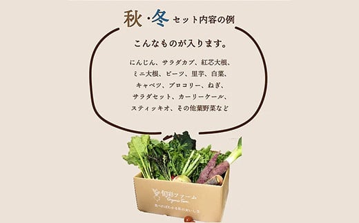 《有機JAS認証》 オーガニック 季節のお野菜が届く定期便（小） 年5回配送  野菜 セット 詰め合わせ 詰合せ 食品 F23R-940