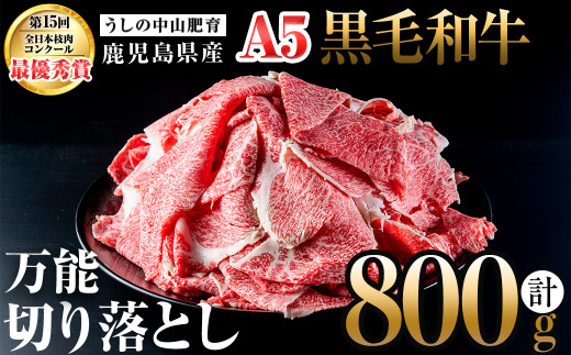＜A5等級＞鹿児島県産 黒毛和牛万能切り落とし(計800g /400g×2P) 黒毛和牛 和牛 切り落とし 肉 牛肉 国産 九州産 鹿児島県産 すき焼き しゃぶしゃぶ 小分け A5 日本一 ランキング 人気 a3-210