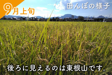 ★令和7年産★ ささしぐれ 5kg（玄米） DE008