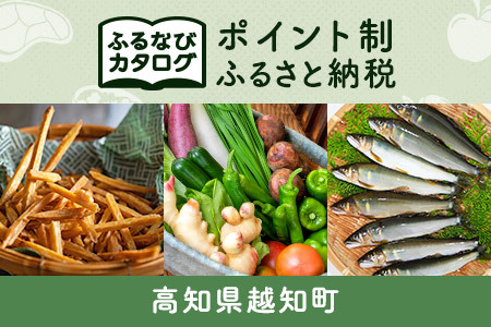 【有効期限なし！後からゆっくり特産品を選べる】高知県越知町カタログポイント