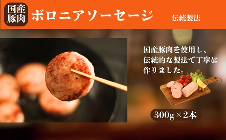 国産豚肉 ソーセージ3種セット 920g (ボロニア300g×2本 / チョリソー160g / あらびき160g) | ウィンナー ギフト 贈答用 国産 豚肉 冷凍 福相食品工業 福島 南相馬