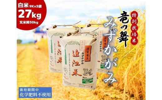 みずかがみ 白米 27kg ( 9kg × 3袋入 ) 2025年産 竜の舞 化学肥料不使用 特別栽培米 玄米 時容量 30kg (10kg × 3袋) 国産 安心 安全 近江米 米 お米 白米 お弁当 玄米 産地直送 滋賀県 竜王町 送料無料