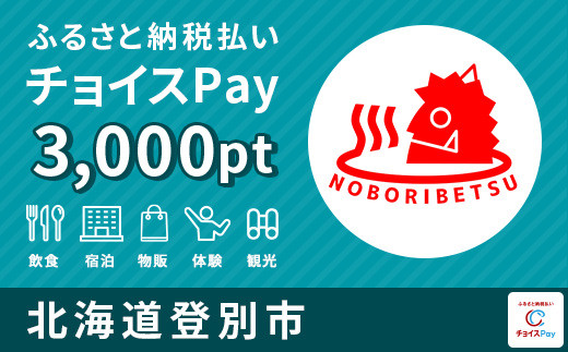 
登別市チョイスPay 3,000pt（1pt＝1円）【会員限定のお礼の品】
