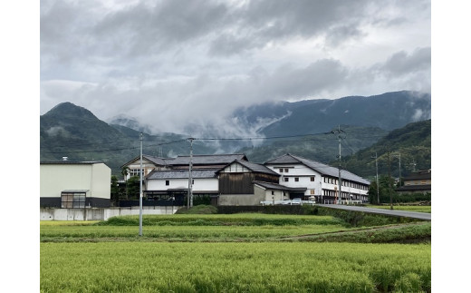 天山酒造（小城市）