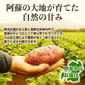 紅はるか 約5kg(9～38個)(益城町)【1684354】