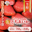 【ふるさと納税】【先行予約】とちあいか 約380g～420g×2パック | いちご 栃木 とちあいか 甘い 糖度 旬 新鮮 フルーツ 果物 アレンジ スイーツ いちごジャム フルーツサンド　※離島への配送不可　※2025年1月中旬～3月下旬頃に順次発送予定