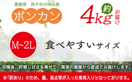 ＜訳あり ポンカン M～2L 約4kg＞ 食べやすいサイズ ぽんかん ミカン 家庭用 果物 フルーツ おいしい 甘い オレンジ 柑橘類 明浜産 あけはま ご自宅用 特産品 浜のみかん屋 愛媛県 西予市