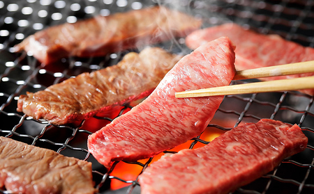 十勝ハーブ牛 カルビ焼肉 500g 北海道産 牛肉 赤身 国産 旨味を逃さないスキンパック包装 キャンプ アウトドア バーベキュー BBQ