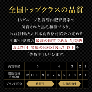 佐賀牛ヒレステーキ600g＆佐賀牛サイコロステーキ400g
