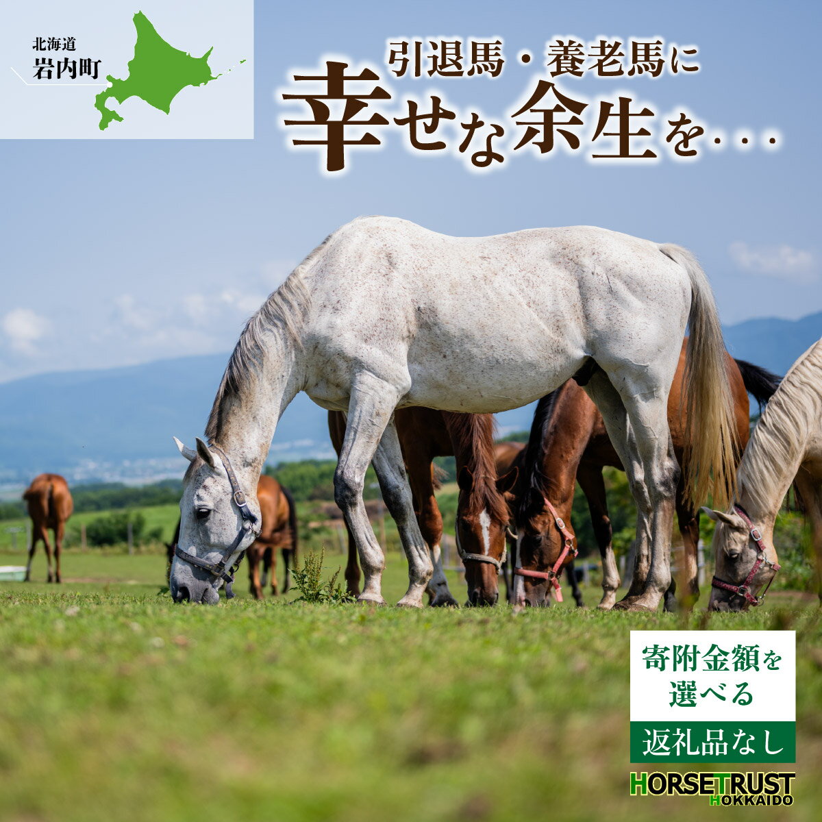【ふるさと納税】【選べる寄附額】馬支援 競走馬 引退後 余生支援 養老馬 牧場 動物愛護 北海道 ホーストラスト北海道 支援 競馬 （返礼品なし） F21H-556var