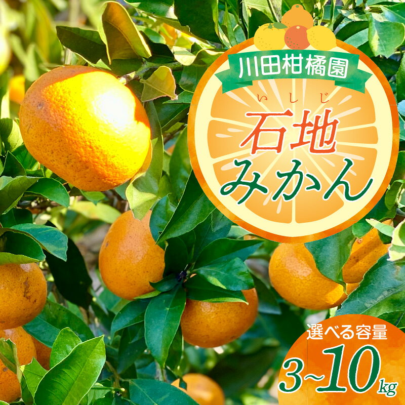 【ふるさと納税】 先行予約 川田柑橘園 呉市 大長産 「 いしじみかん 」 選べる 3kg / 5kg / 10kg みかん ミカン 蜜柑 フルーツ 果物 くだもの 柑橘 石地みかん 石地 中生 大長 温州みかん 濃厚 甘い コク 産地直送 国産 常温 送料無料 広島県 【 2026年 12月上旬 ～発送】