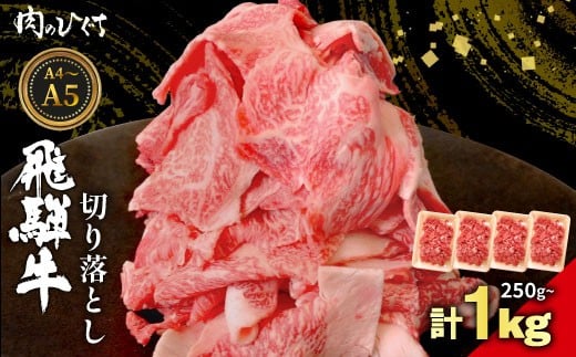 
            選べる！ 飛騨牛 切り落とし 250g～1kg A5 A4 国産 牛 黒毛和牛 和牛 牛肉 切落し 切り落し 薄切り 訳あり 牛丼 すき焼き しゃぶしゃぶ 炒め物 東白川村 岐阜 飛騨 贅沢 霜降り ロース バラ もも ウデ 肉のひぐち
          