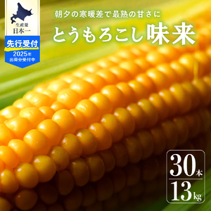 【2025年 先行予約】北海道産 朝どれ とうもろこし 味来 30本 約13kg スイートコーン ハニーバンダム みらい トウモロコシ とうきび 生 野菜 黄色 yellow 産地直送 送料無料 期間限定 数量限定 お取り寄せ グルメ お土産 贈答 北海道 十勝 芽室町 めむろme035-006c-25