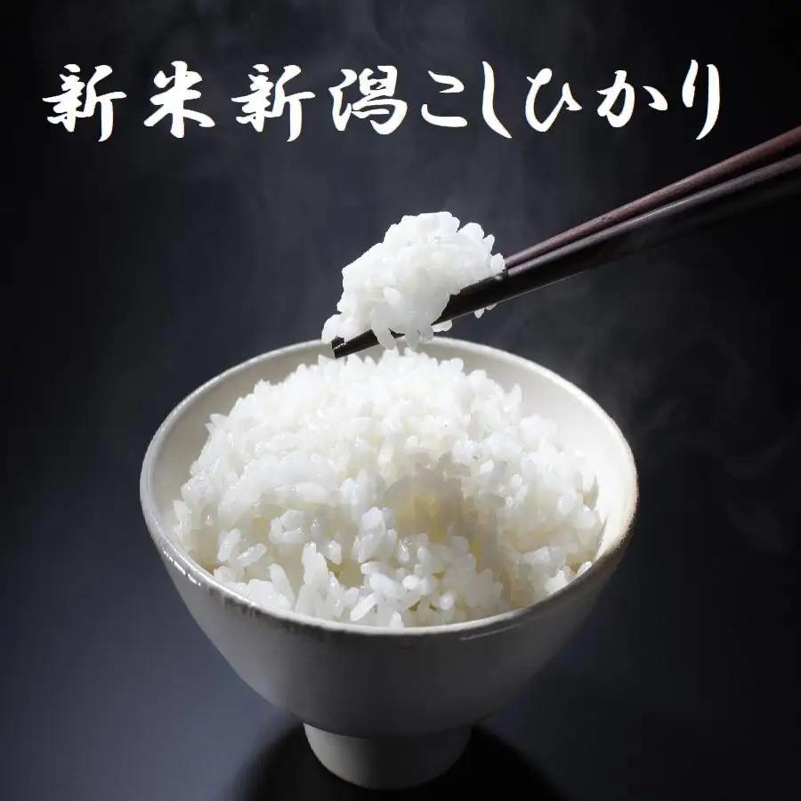 【令和8年産新米】 新潟県産 「従来こしひかり」 白米 10kg（5kg×2袋） 阿賀野市産 中島農場 精米 新潟県 米 こめ コメ お米 ごはん ご飯 農家直送 色彩選別済 新米  令和8年産  3