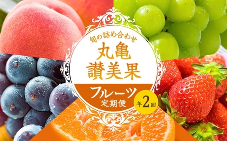 フルーツ定期便 2回 丸亀讃美果 ﾌﾙｰﾂﾌﾙｰﾂﾌﾙｰﾂﾌﾙｰﾂ 定期便定期便